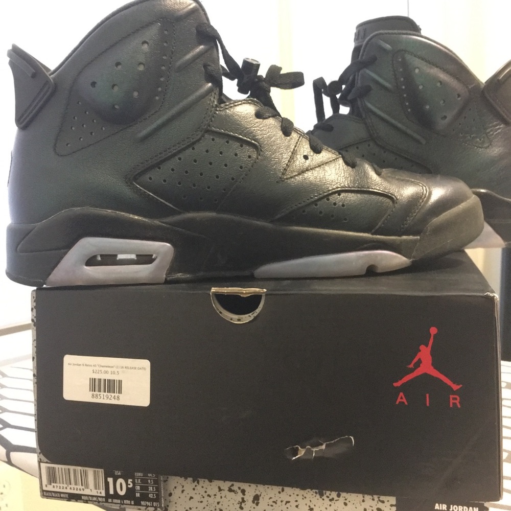 Size 10.5 Jordan Retro 6 Black “Chameleon”